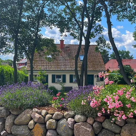 Ferienwohnung 1010 Mit Seeblick Ziemitz Buitenkant foto